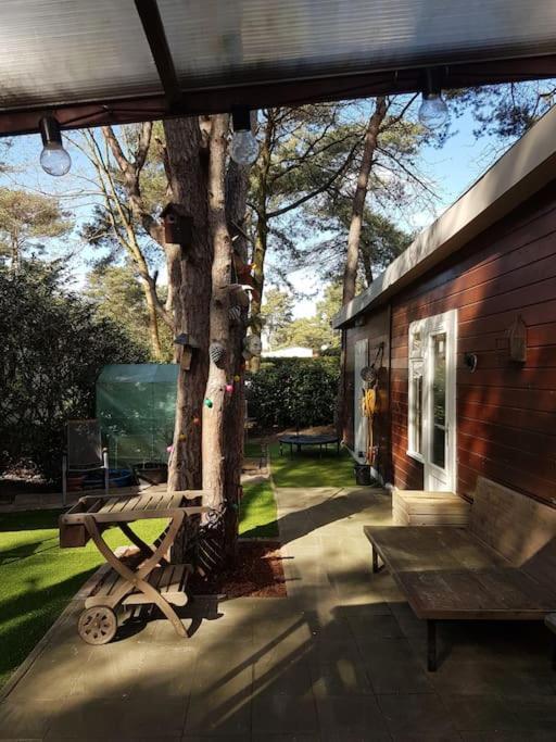 3 Bedroom Chalet On Camping Gt Balen Exterior foto